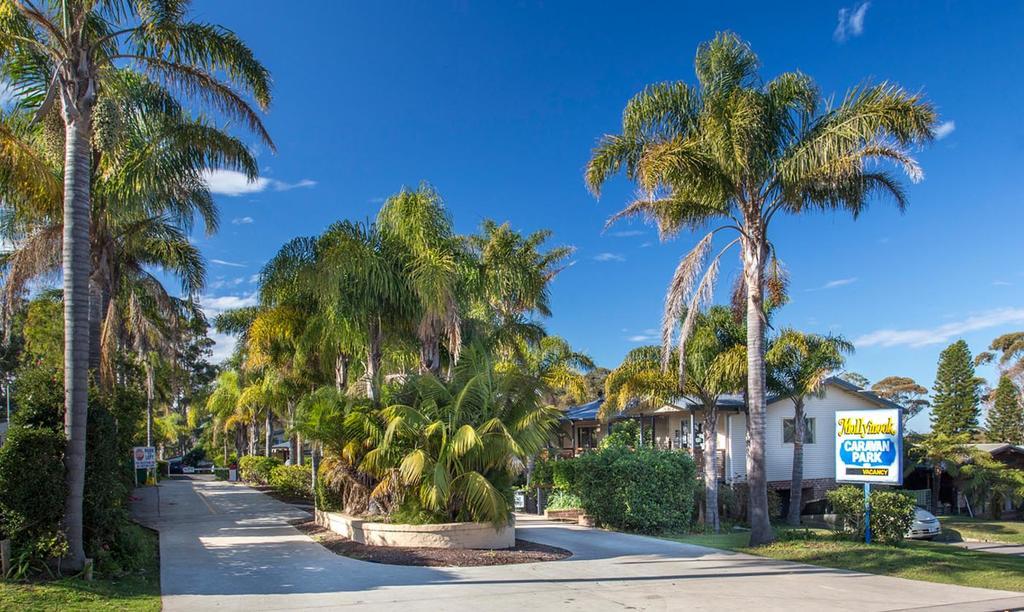 Mollymook Caravan Park מראה חיצוני תמונה