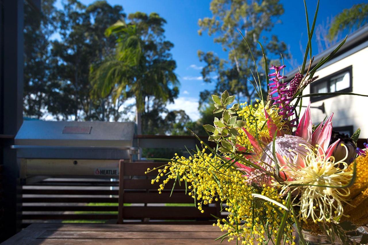 Mollymook Caravan Park מראה חיצוני תמונה